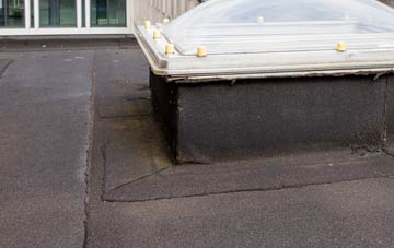 disadvantages of Holcombe Rogus flat roofs
